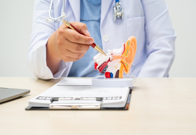 Female Doctor Discussing Balance Problems with an Ear Model in Castle Rock, CO